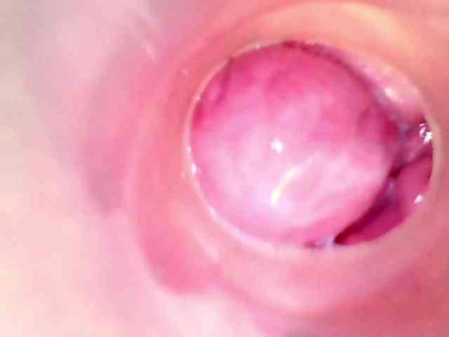 Shannon-kane Shannon-kane