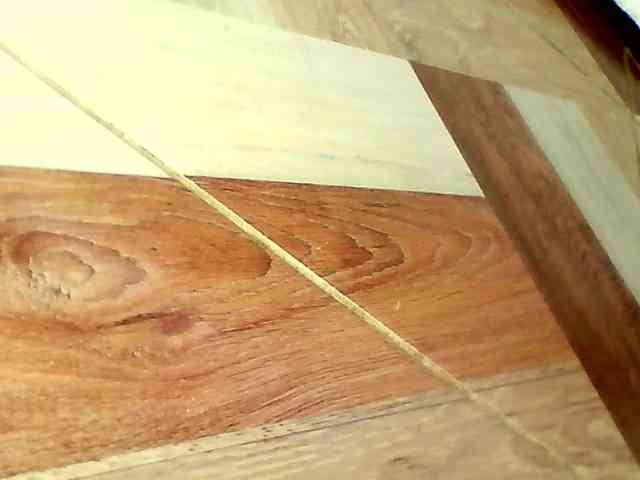 Shannon-kane Shannon-kane