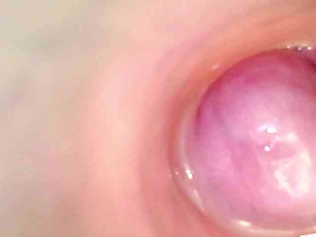 Shannon-kane Shannon-kane