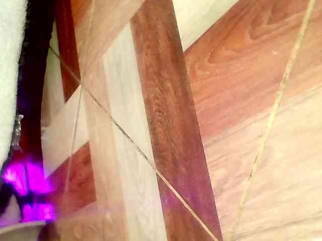 Shannon-kane Shannon-kane