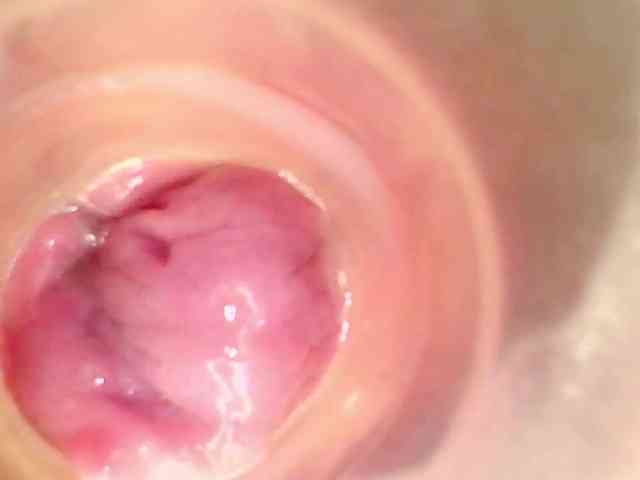 Shannon-kane Shannon-kane