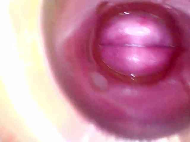 Shannon-kane Shannon-kane