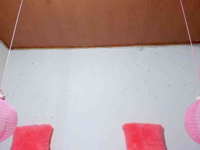 Shannon-kane Shannon-kane