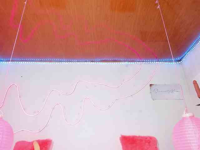 Shannon-kane webcam