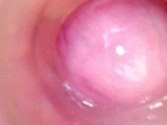 Shannon-kane Shannon-kane