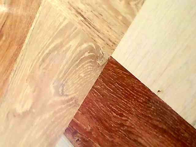 Shannon-kane Shannon-kane