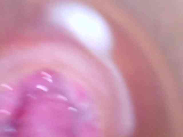 Shannon-kane Shannon-kane