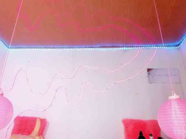 Shannon-kane webcam