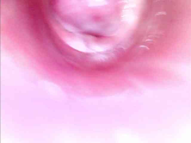Shannon-kane webcam