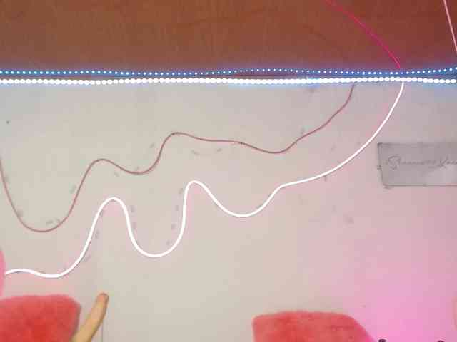 Shannon-kane Shannon-kane