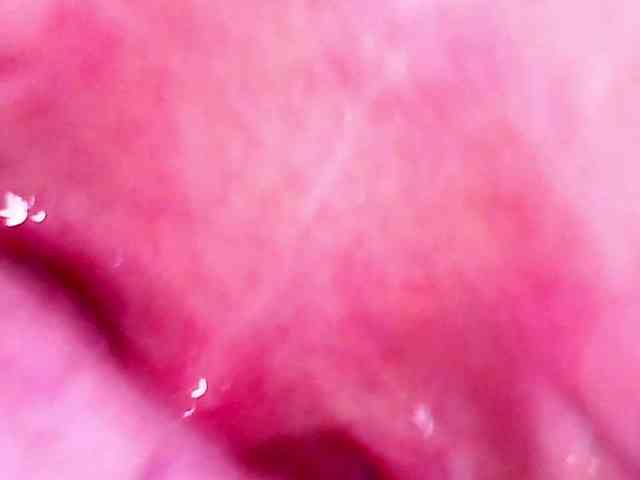 Shannon-kane webcam