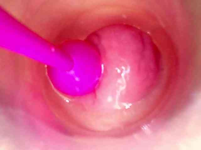 Shannon-kane Shannon-kane