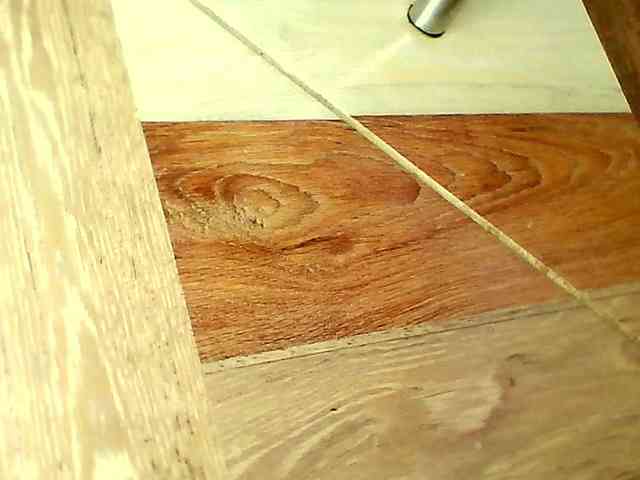 Shannon-kane Shannon-kane