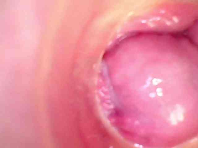 Shannon-kane Shannon-kane