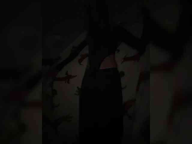 Tom-and-Jenny webcam