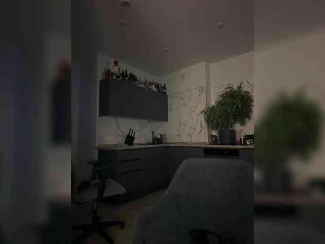 Tom-and-Jenny webcam