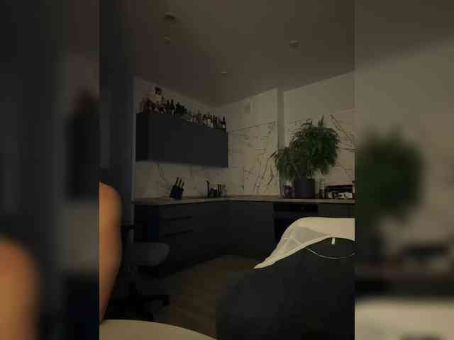 Tom-and-Jenny webcam