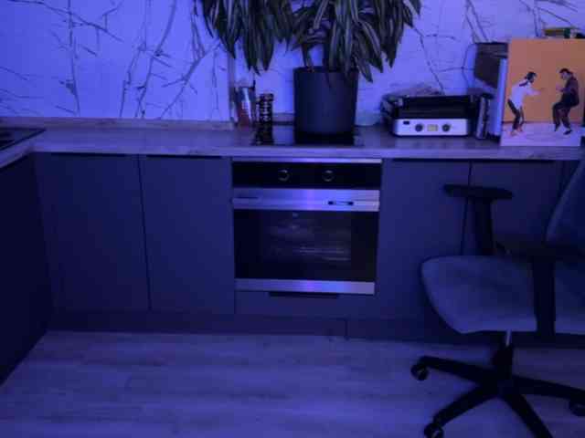 Tom-and-Jenny webcam