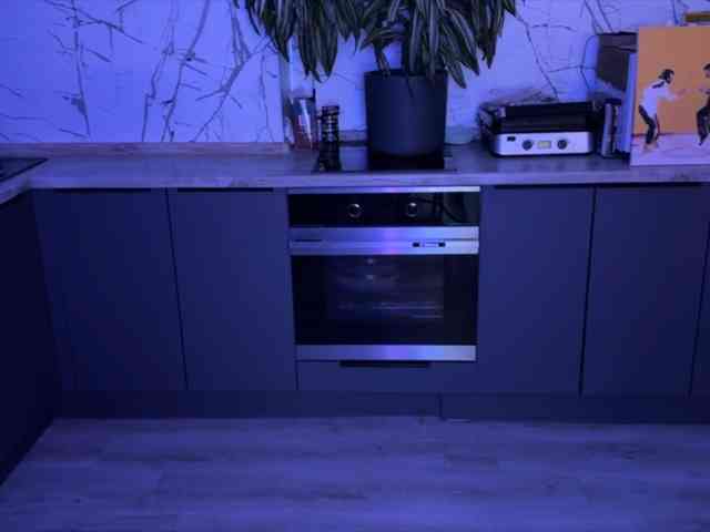 Tom-and-Jenny webcam