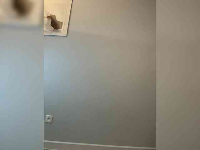 Tom-and-Jenny webcam