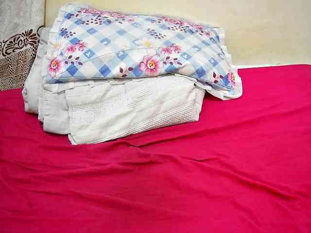 petite-tasha webcam