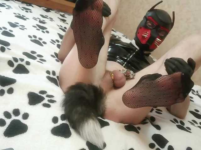 PupMax69