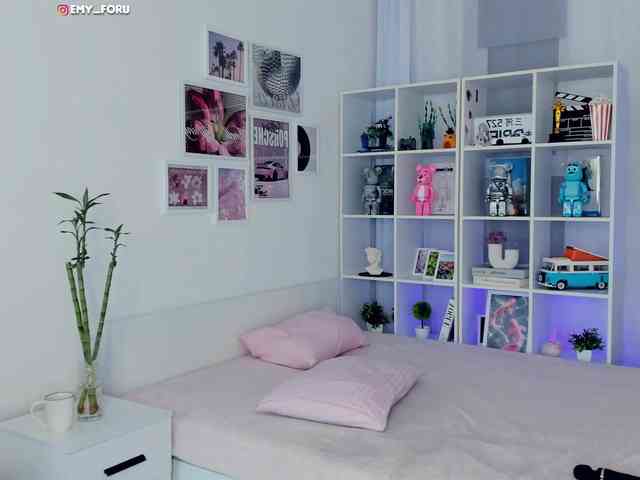 Emyforu webcam