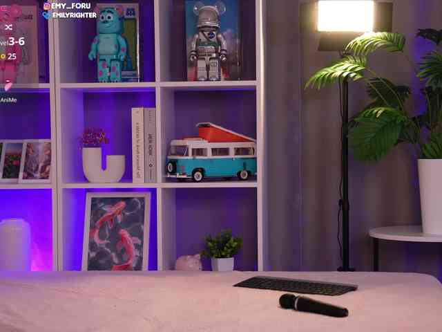 Emyforu webcam