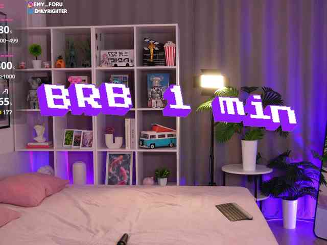 Emyforu webcam