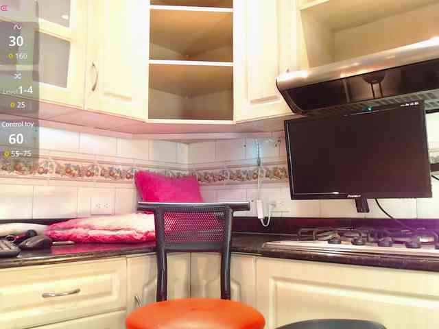 NicolleWillow webcam