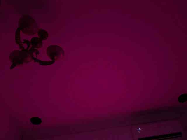 Lilbye066evil webcam