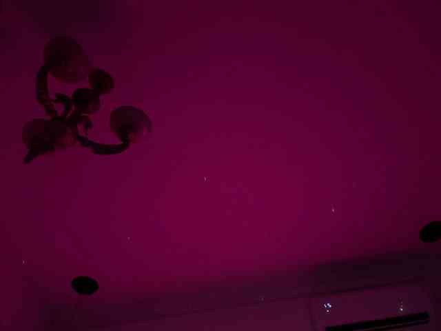 Lilbye066evil webcam