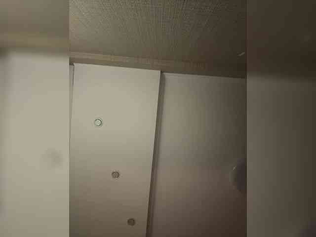 live web cam KissMec