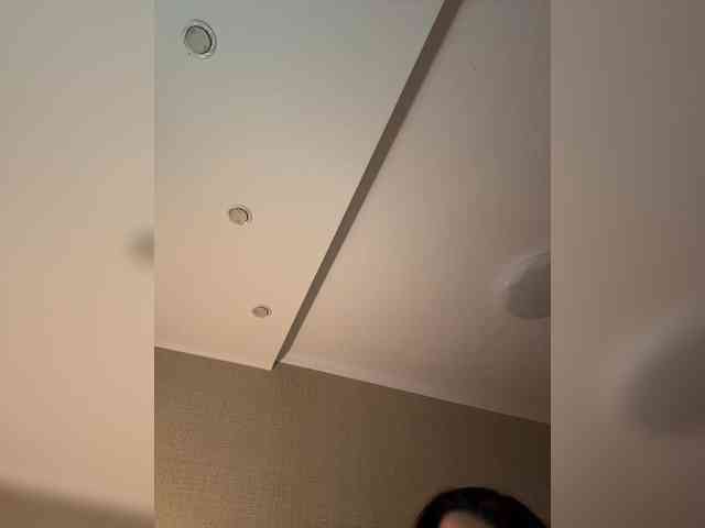 hd webcam KissMec