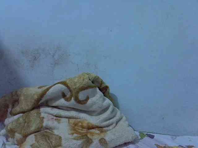 Queen-Marian webcam