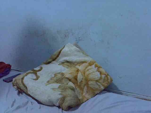 Queen-Marian webcam