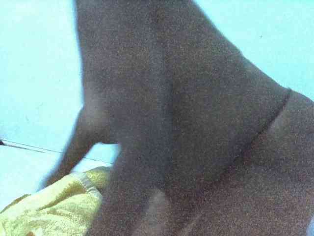 Queen-Marian webcam