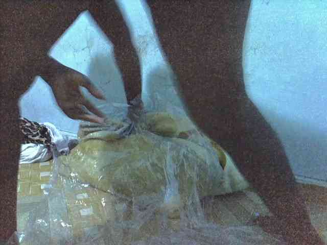 Queen-Marian webcam