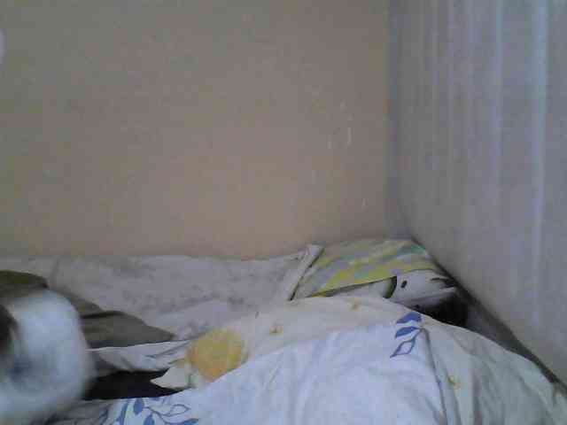 Icepopp webcam