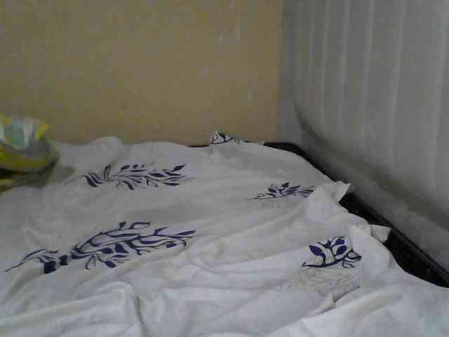 Icepopp webcam
