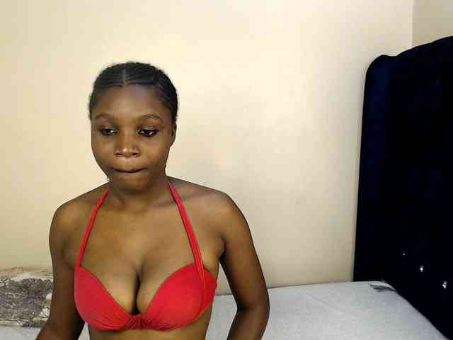 Springbunny webcam