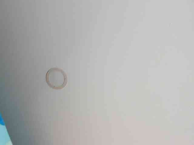 MeganMass webcam