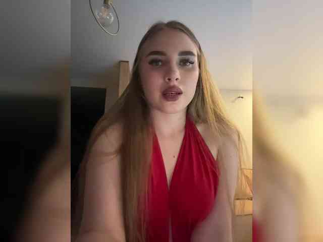 Havvyer webcam