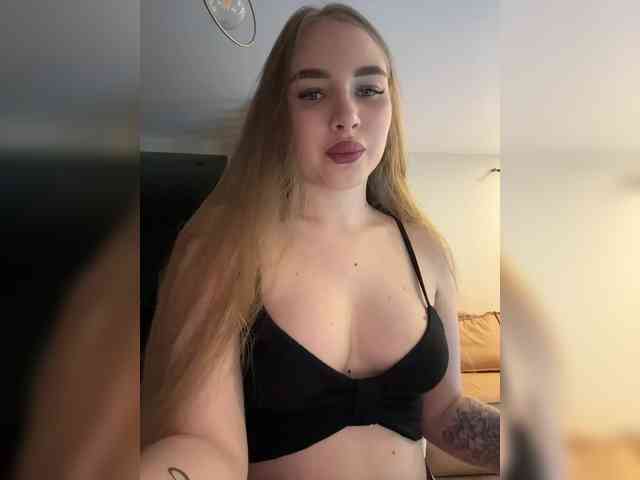 Havvyer webcam