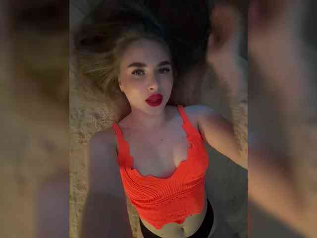 Havvyer webcam