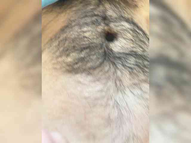 IrakliAkm Live Webcam on BongaCams