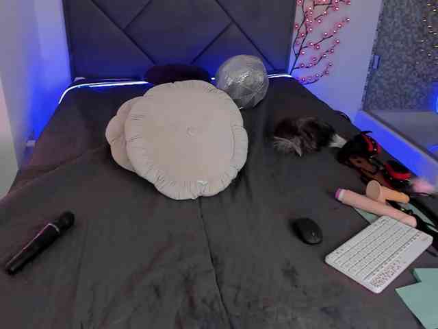 CassieEvans Live Webcam on BongaCams