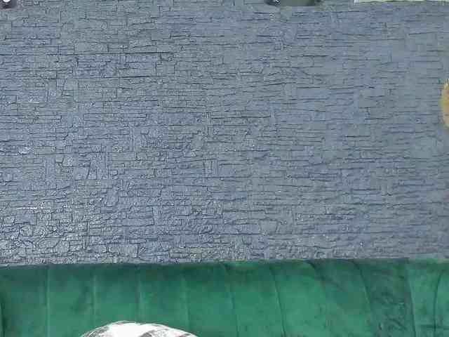 MissFrancesca webcam