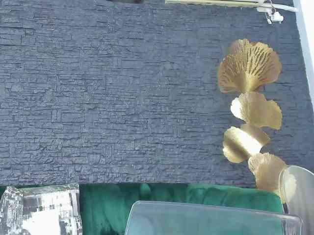 MissFrancesca webcam