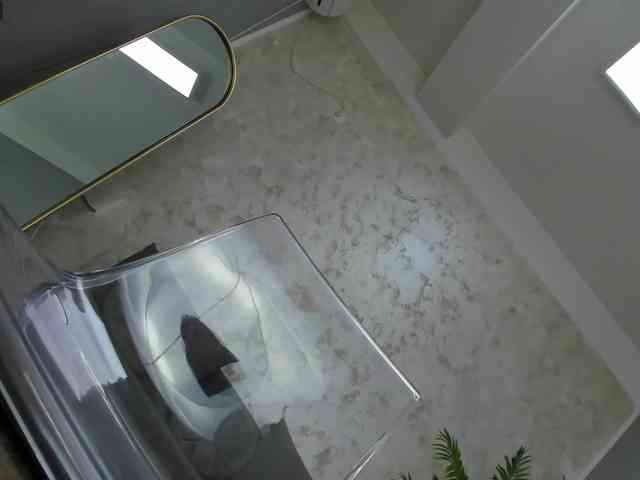Sophie-Dr3am webcam